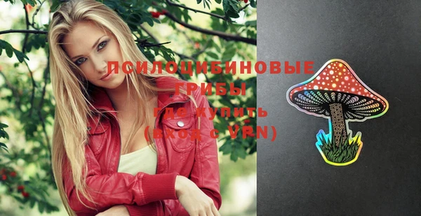 ГАЛЛЮЦИНОГЕННЫЕ ГРИБЫ Богородицк