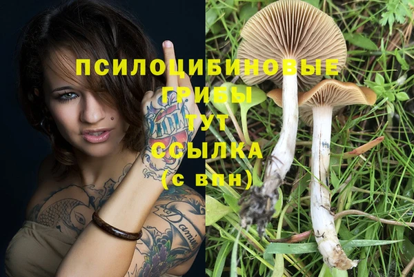 а пвп мука Богданович