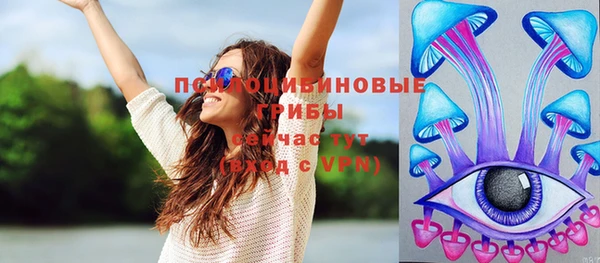 ГАЛЛЮЦИНОГЕННЫЕ ГРИБЫ Богородицк