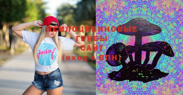 индика Белоозёрский