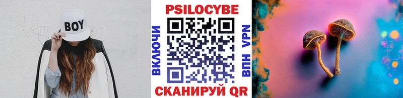 наркотики  ОМГ ОМГ онион  Галлюциногенные грибы Psilocybe  Володарск 